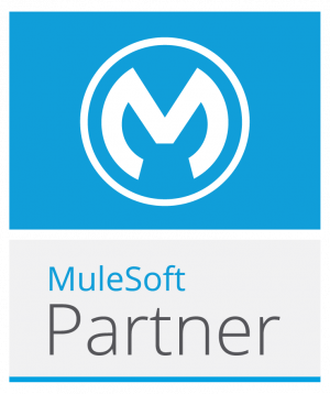 mulesoft-partner mulesoft-partner
